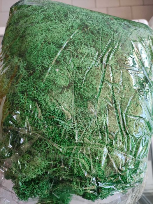 изкуствени зелени растения  мъх трева и рози за декорация