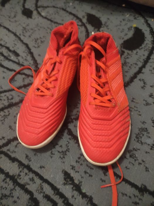 Срочно продам сороконожки предатор