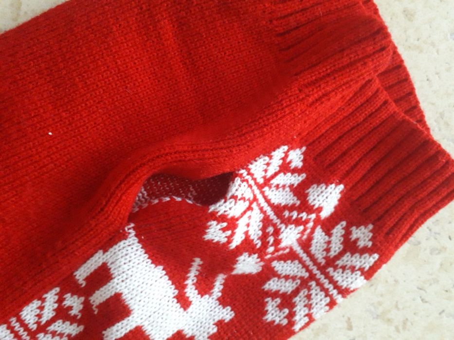 Зимна дрешка за куче