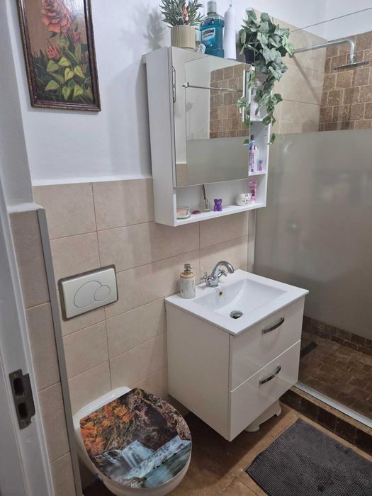 Apartament 2 camere + curte proprie Salaj, Rahova