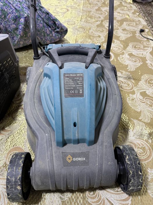 Gazonakasilka holati pachti yengi