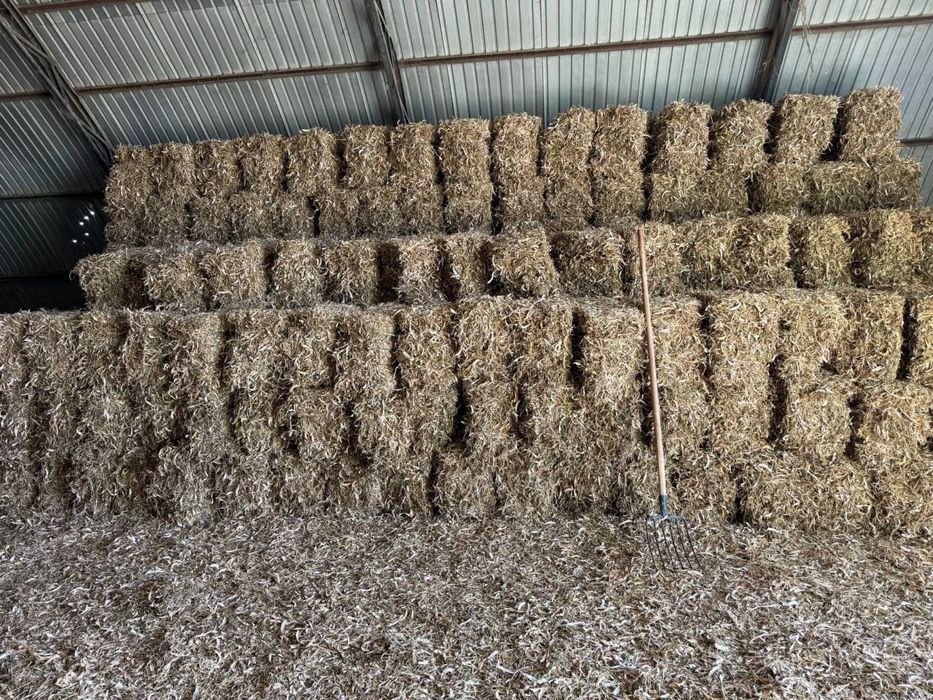 Ловия пресс Lubiya press