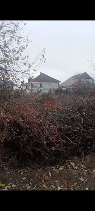 Продам дачный участок