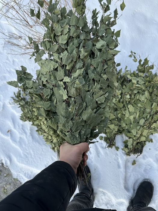 Березовый веники