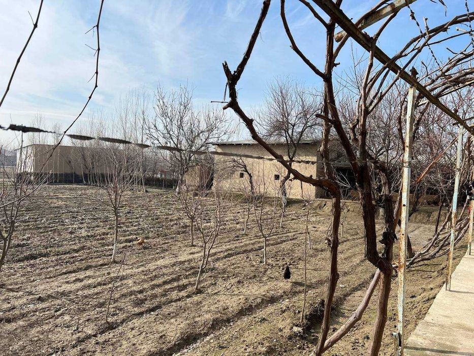 Ҳовли сотилади 18 сотох