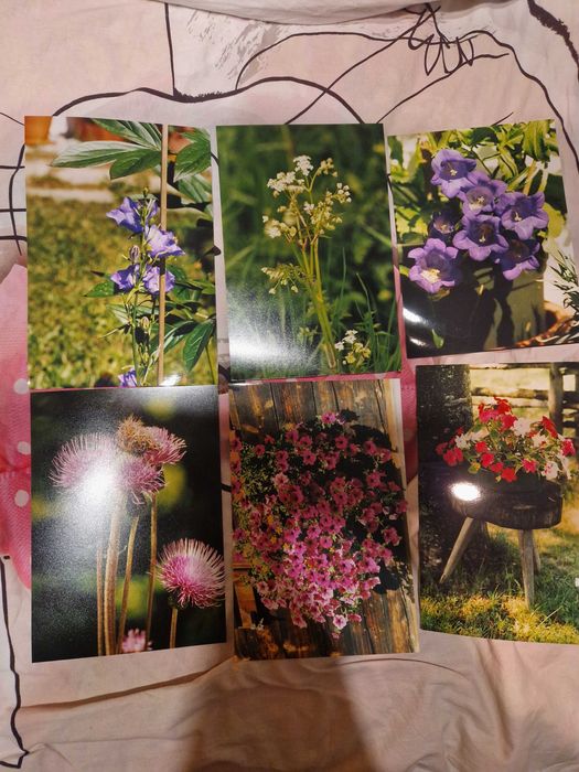 Vând 170 fotografii profesionale peisaje, flori, cladiri format A4