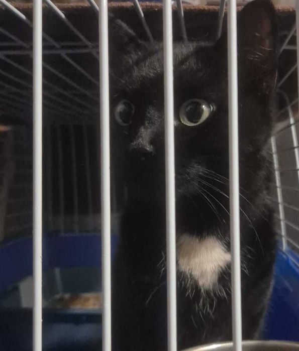 По дороге к счастью - девочка Юша