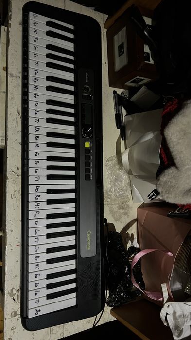 Синтезатор Casio Casiotone LK-S250