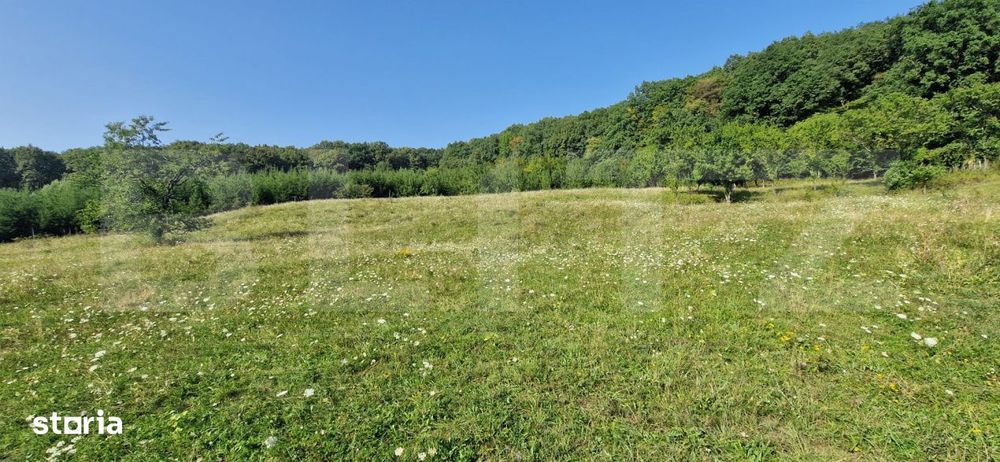 Teren de vanzare, 1Ha in apropiere de cartierul RAAL