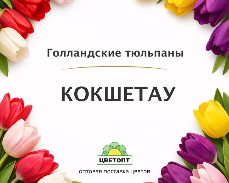 Тюльпаны оптом Кокшетау