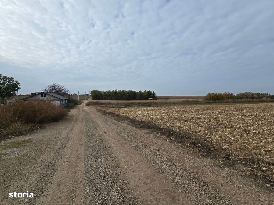 3,25 Ha - Teren extravilan Vanatori, deschidere la DC3A