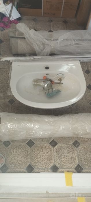 Раковина тюльпан