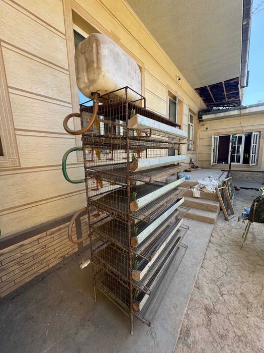 Bedana in qafas sotiladi (tayyor biznes)