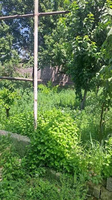 Участок 3соток 10000 $ за одну сотку