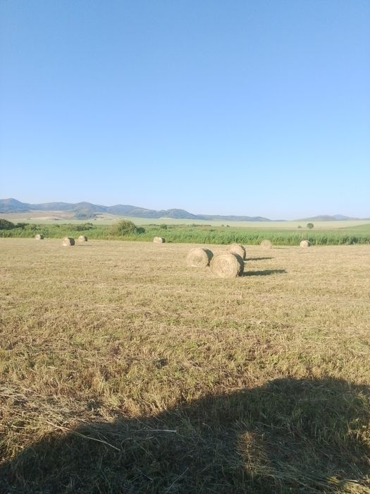 Продам Сено в рулонах