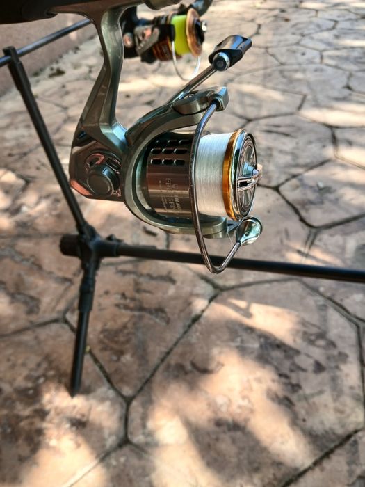 Lansete;rod pod;minciog;scaun