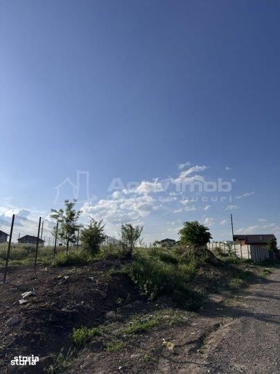Teren Branesti   Padure