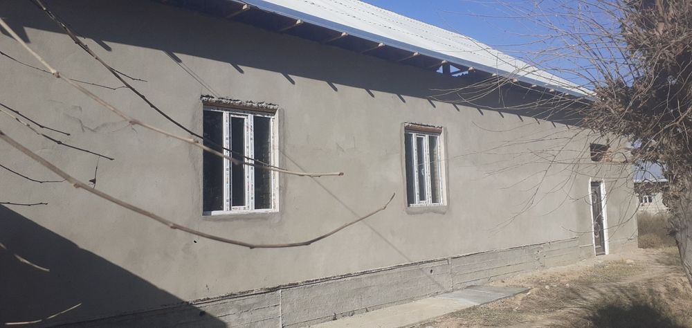 Yigit va qiz sichqon sorishadi