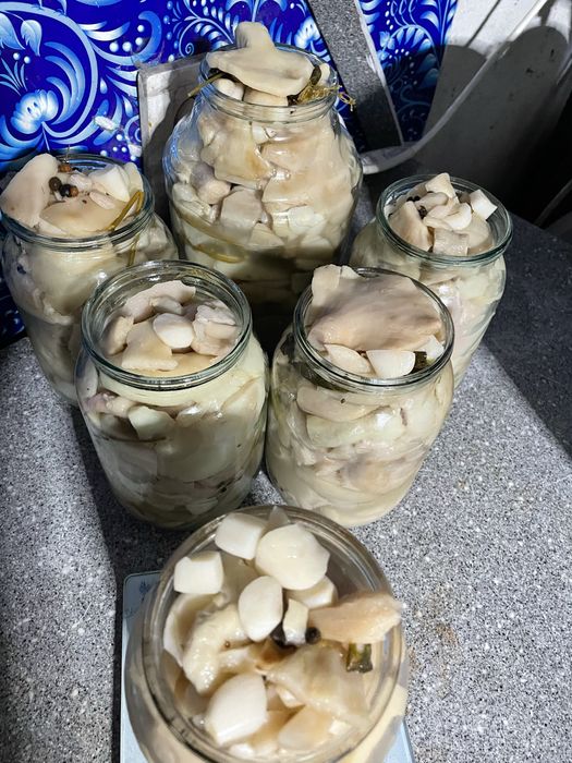 Продам грибы грузди.