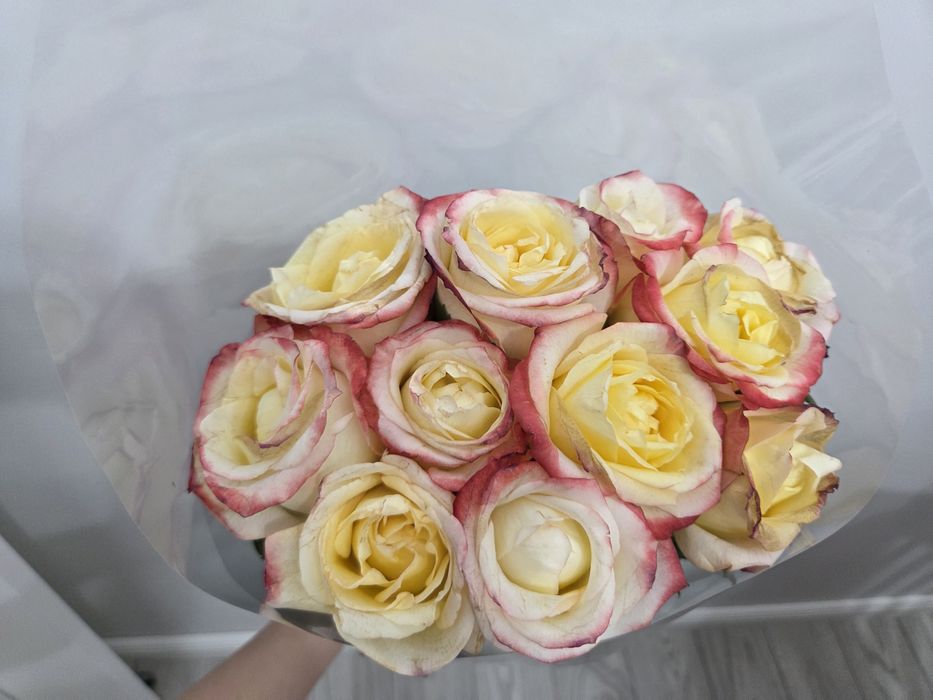 Букет белых роз 11 штук