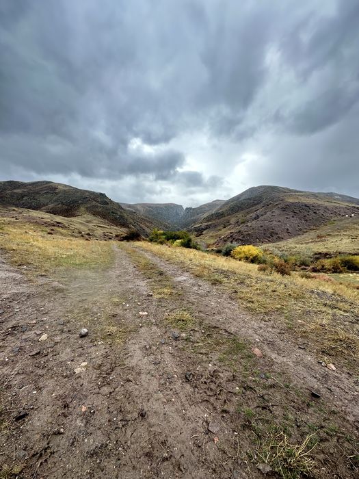 Участок 10га под сельхозугодья