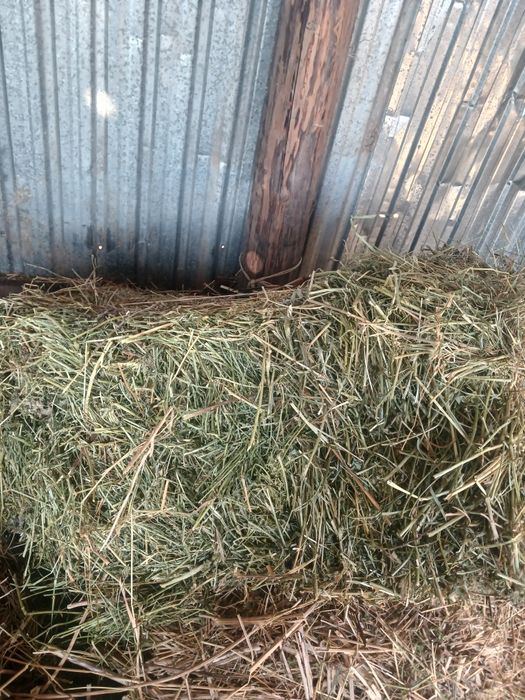 Продам садовое сено