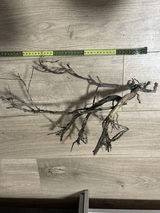 Vand radacini decorative pentru acvariu