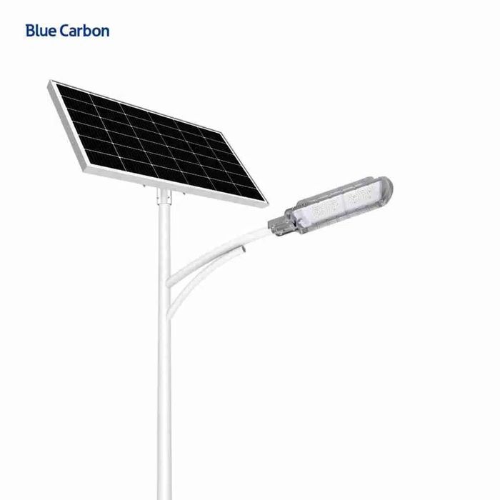 Blue carbon bilan yolingizni yorug' qiling