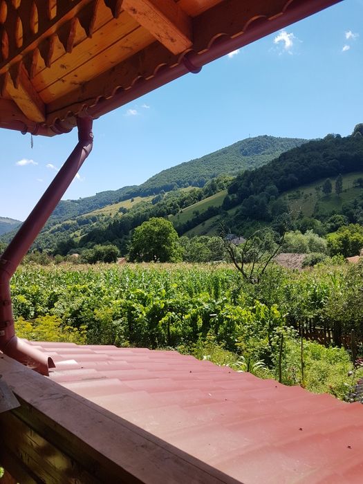 Închiriez cabana cu CIUBAR NOU