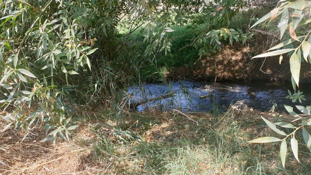 Участок 10 сот. в "новый Ташкент"