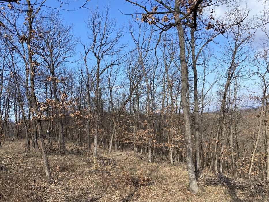 Продава се Земеделски имот в с. Струпец, Област Враца -  кв.м за 829 €/дка - Снимка #4