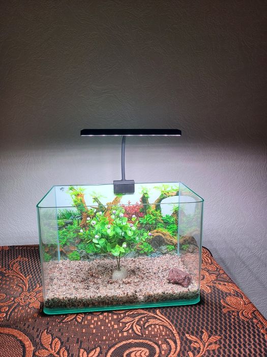 Asssalomalekum akvaryum sotiladi yengi