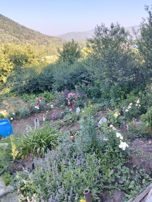 Продам дачу с/о "Казахстан"