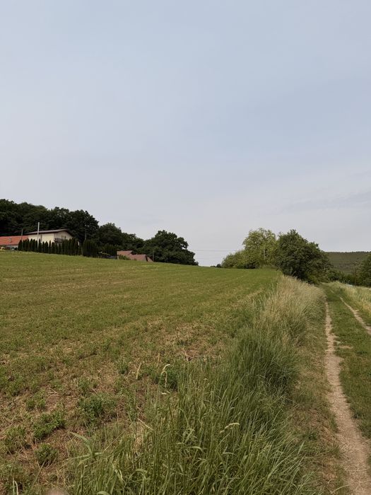 Teren intravilan