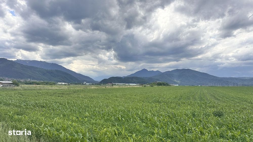 Loturi de grădină 400 mp - Săcele