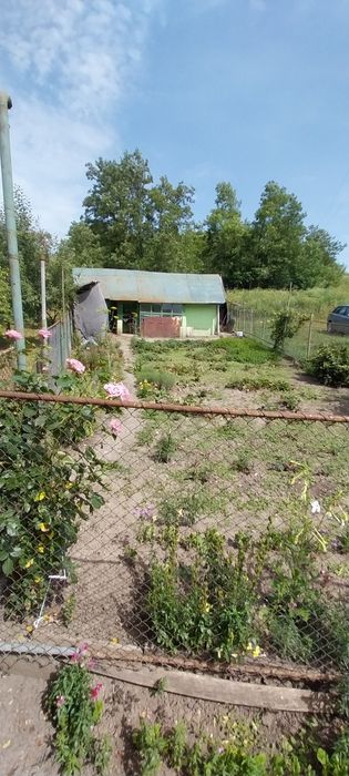 Vând casă pe curte comună