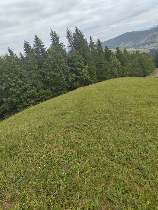 Teren de vanzare 1 ha – Perivata, Argel, com. Moldovița, Suceava