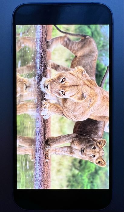 Iphone 14 128gb albastru predare personala Oradea