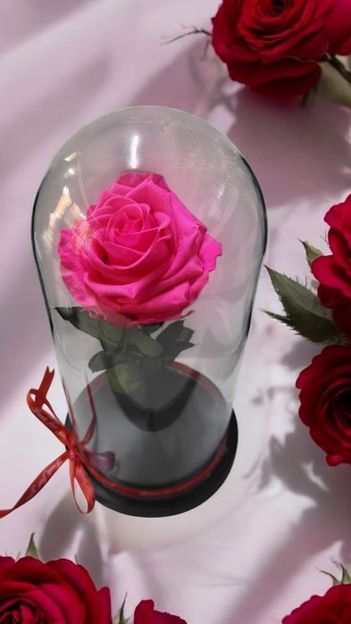 Trandafiri criogenati!