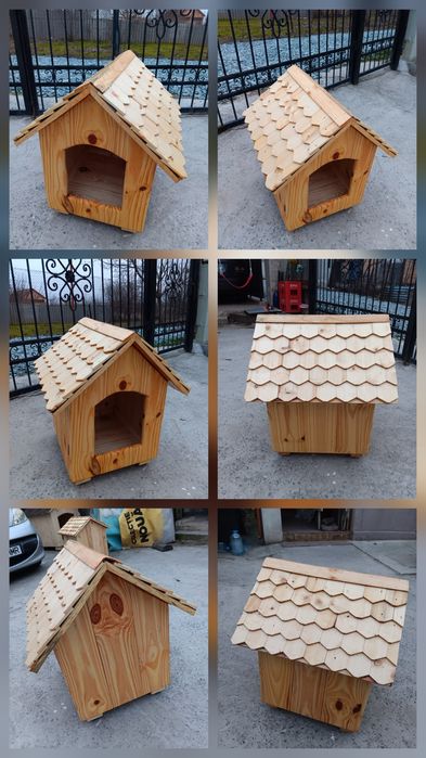 Cusca adăpost câine pisica bichon