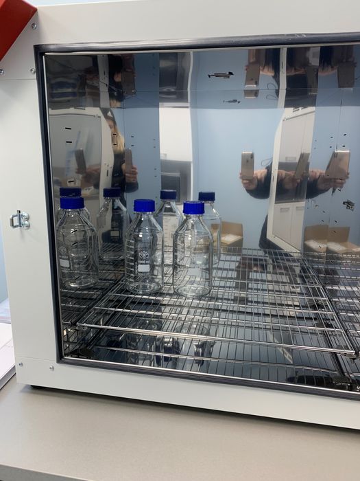 Инкубатор Binder Модел BD 115