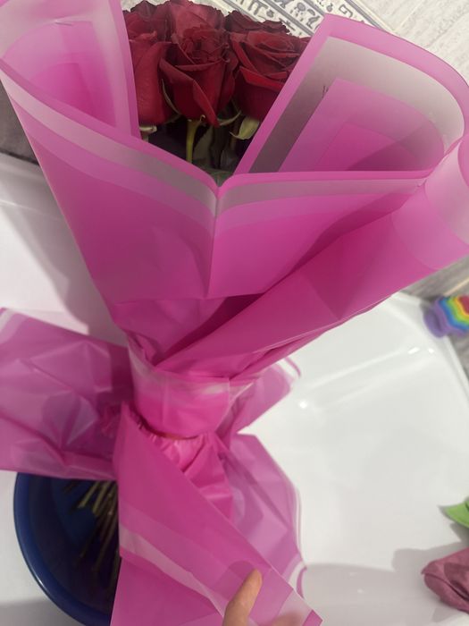 Роза красная красивая