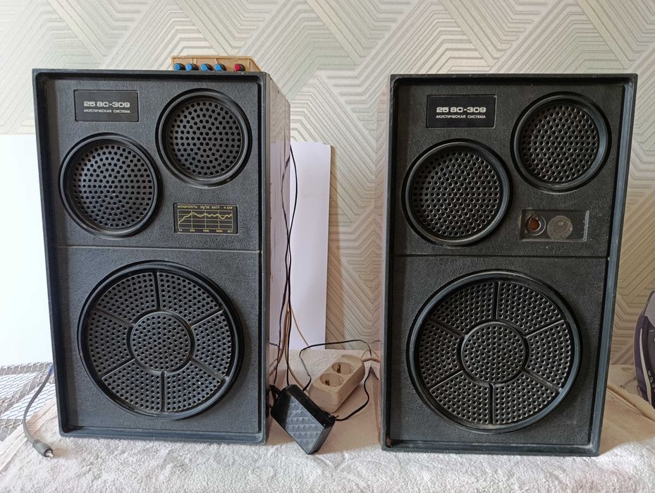 Колонки 25 АС 309