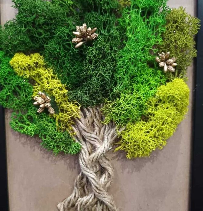 Картини от мъх и цветя