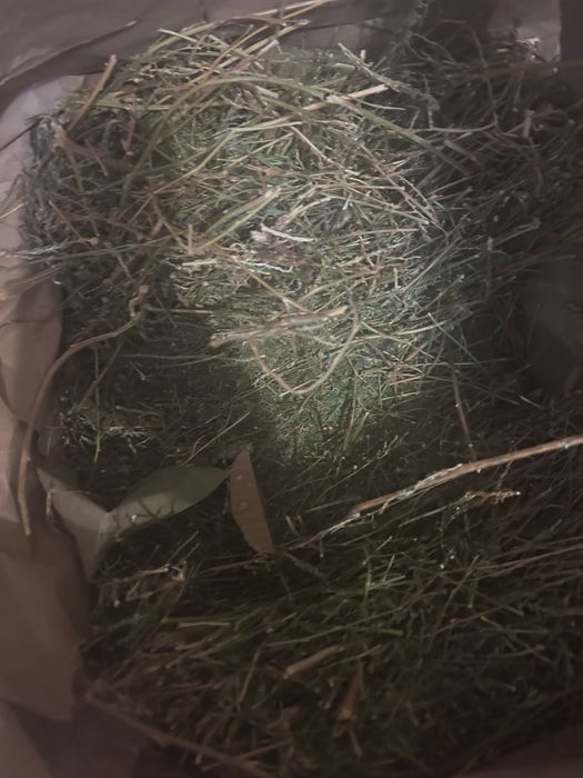 Отдам сено бесплатно