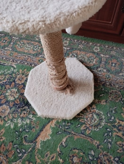 Когтеточка в хорошем состоянии