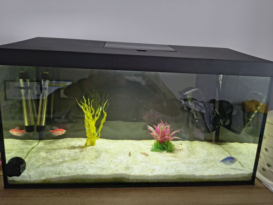 Acvariu Aquael ledy 60 cu accesorii incluse
