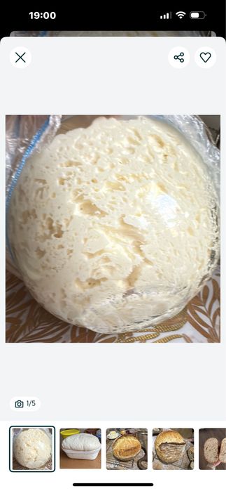 Живая закваска Lievito Madre для домашнего хлеба