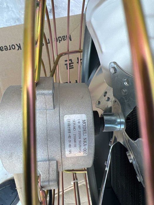 Vaginada shisha parchalari