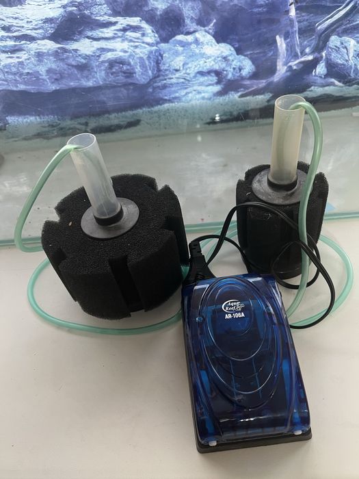 Аквариум для рыб — готовый комплект